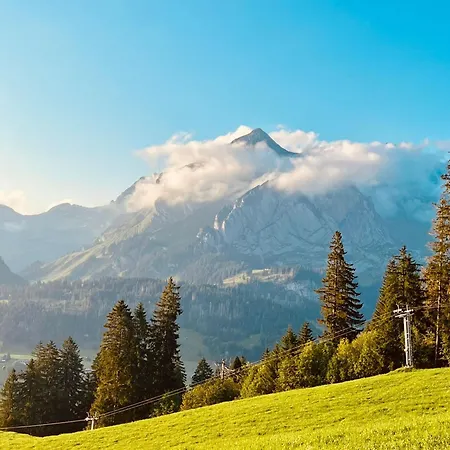 Ferienhaus Ski In Ski Out Mit Hotpot Holiday home *